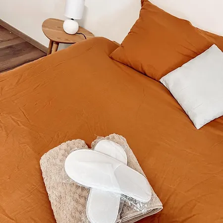 Duplex, Hyper-central - Piscine Privée - Garage Hébergement de vacances *